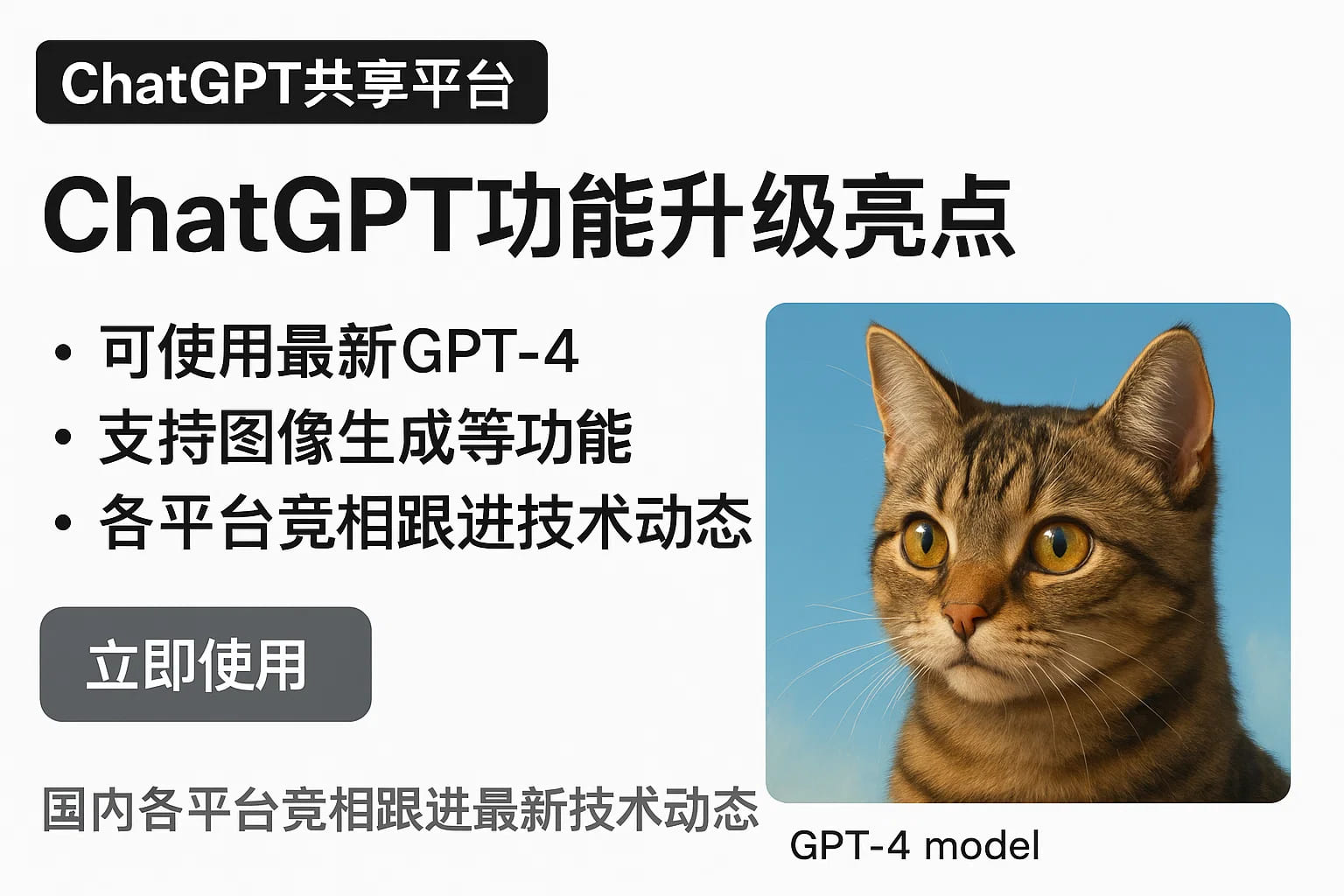 ChatGPT Plus充值 - 极速AI智能